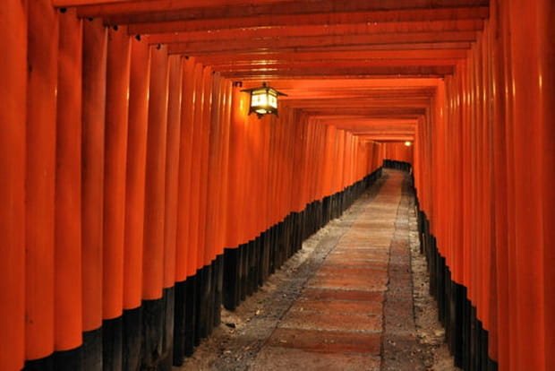 Des torii par milliers