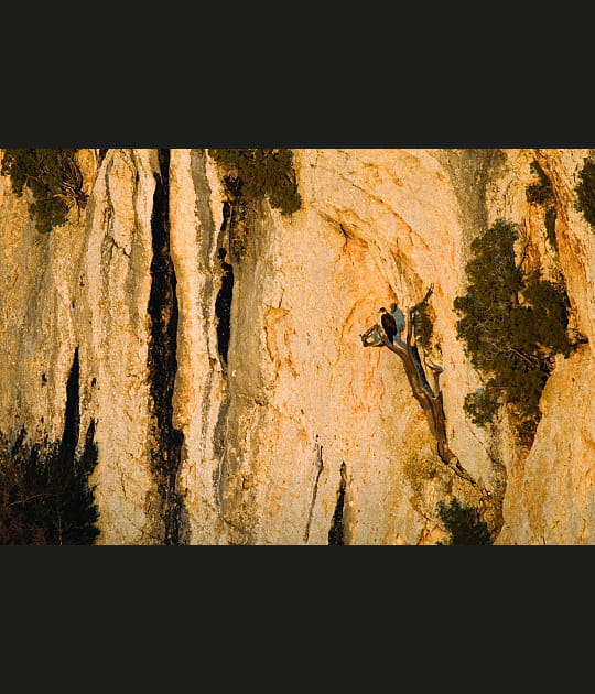 Un repos bien m&eacute;rit&eacute;