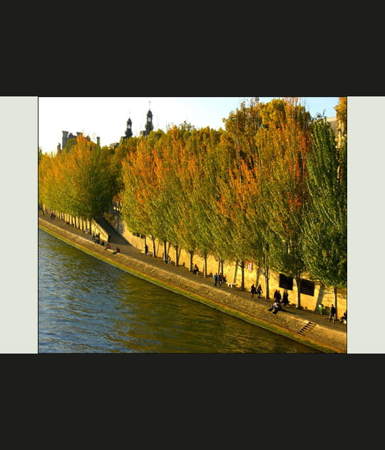 Quai du Louvre