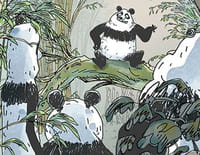 Pandas dans la brume : Reproduction