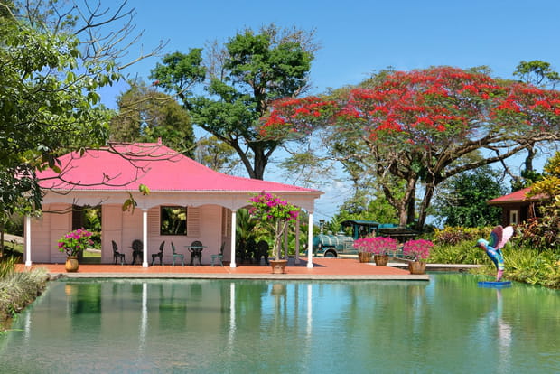 8e : le jardin botanique de Valombreuse en Guadeloupe