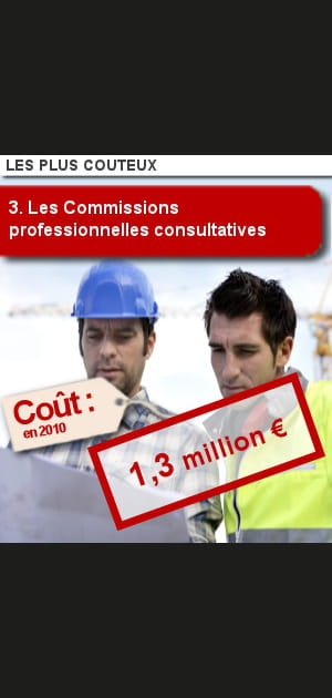 3. Les Commissions professionnelles consultatives