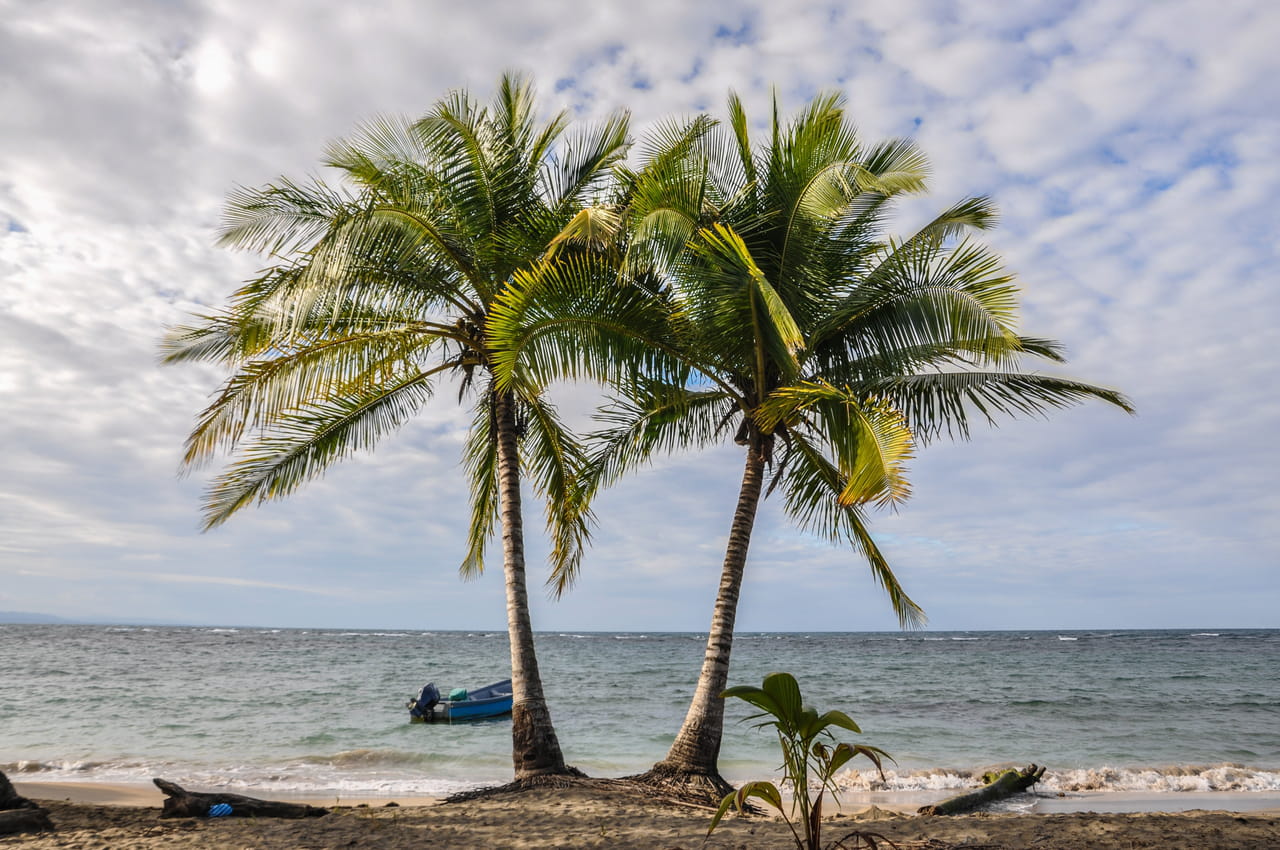 Séisme et risque de tsunami à la Guadeloupe : ce que l'on sait