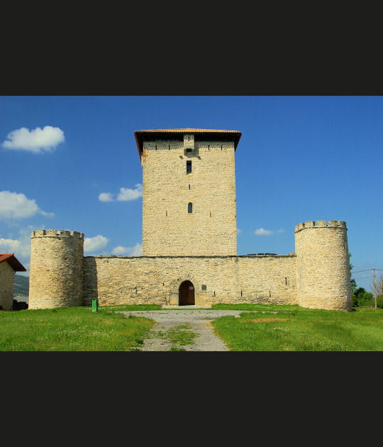 Au ch&acirc;teau de Mendoza