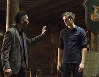 The Originals : Confidences