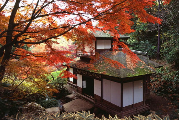 Un automne au Japon