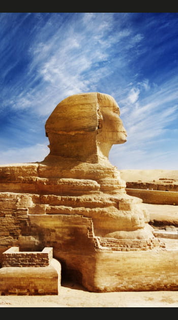 Les Egyptiens&nbsp;: un d&eacute;clin militaire&nbsp;?
