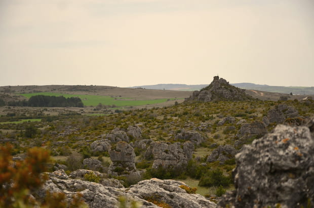 Le plateau du Larzac