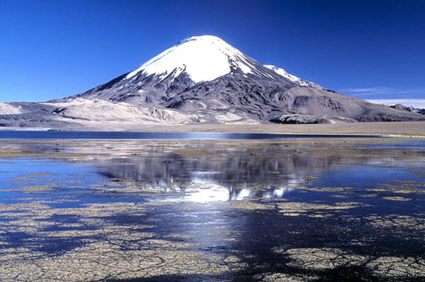 Le volcan Sajama