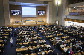 Les Etats commencent de &quot;difficiles&quot; n&eacute;gociations pour juguler la &quot;crise mondiale&quot; de la pollution plastique