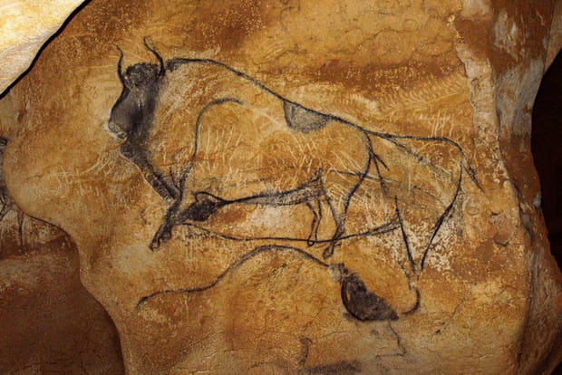 Bison dessiné au charbon de bois