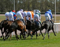 Hippisme - Grand Prix d'Amérique 2019