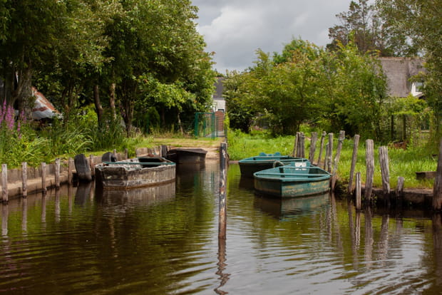 Le Parc Naturel Régional de Brière, une immersion dans les marais