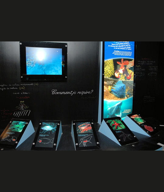 L'espace p&eacute;dagogique