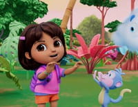 Dora *2024 : La grande fête de la forêt tropicale / La noisette magique