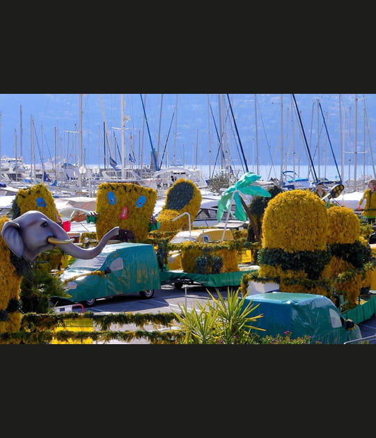 F&ecirc;te du Mimosa