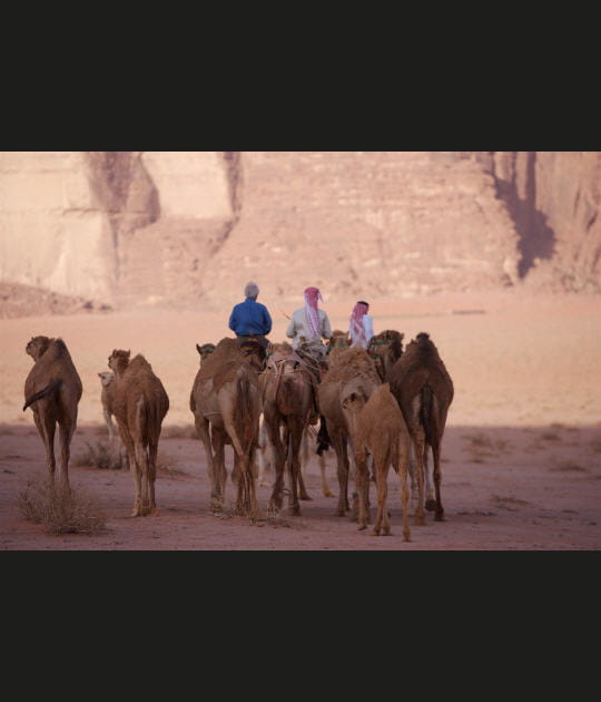 Dans le d&eacute;sert du Wadi Rum