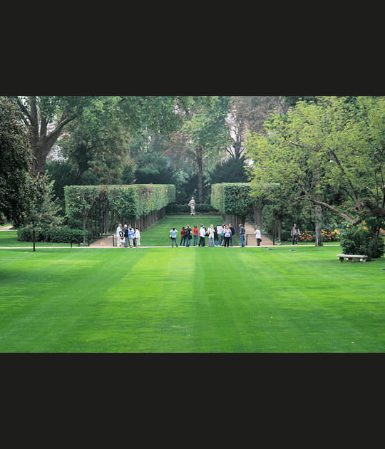 Le jardin