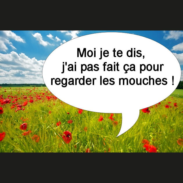 Thierry&nbsp;: l'amour qui fait bzzz bzzz
