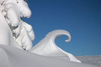 Vos plus beaux clichés blancs comme neige