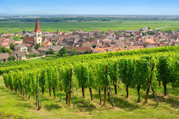 La route des vins d'Alsace