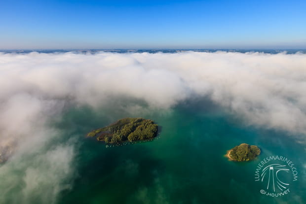 Impressions tropicales