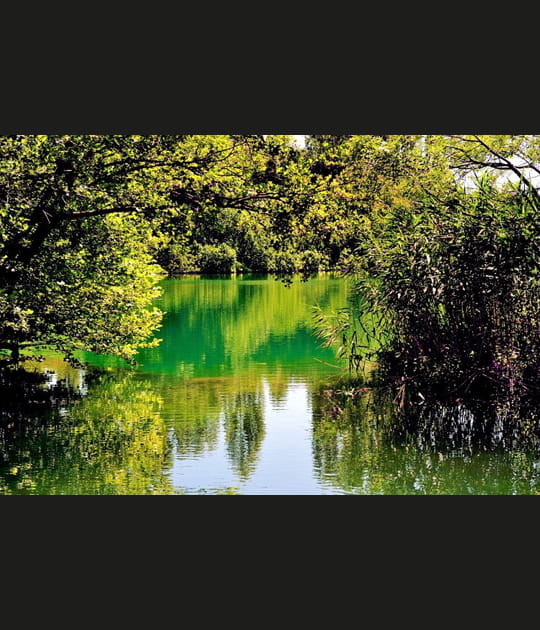 Grand calme sur la rivi&egrave;re Krka