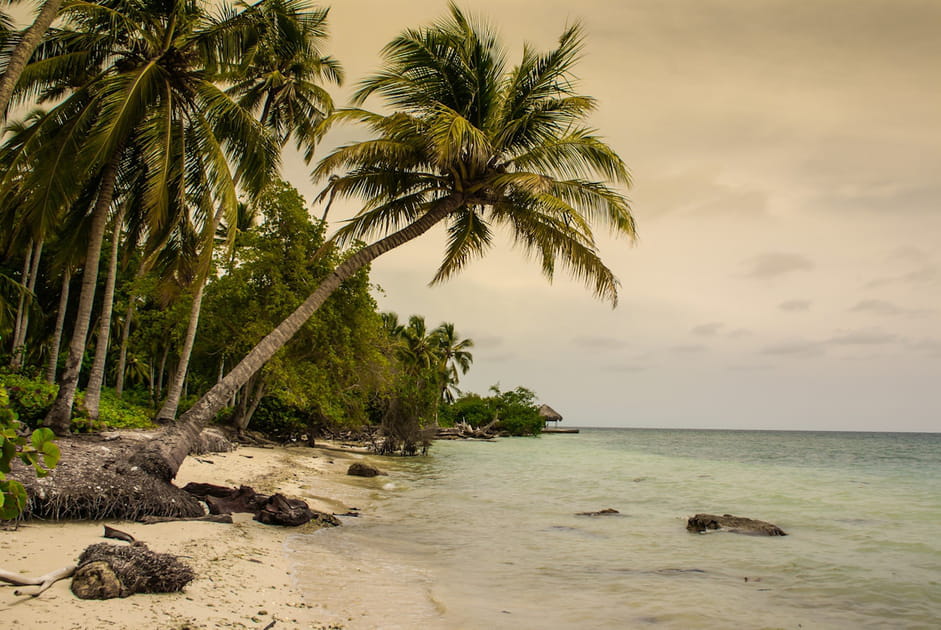 Des plages luxuriantes mais pluvieuses