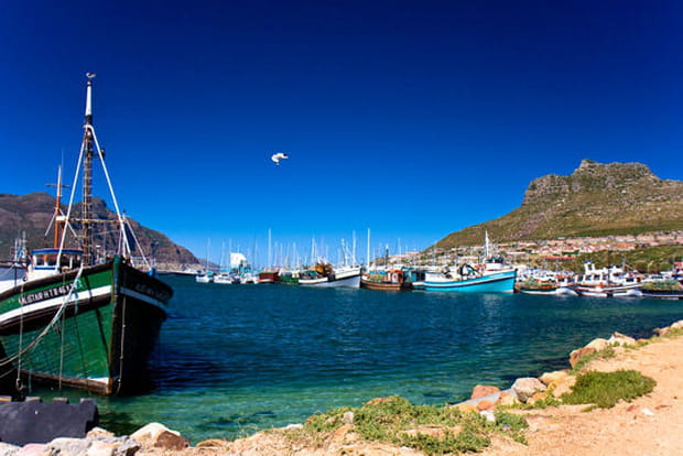 Hout Bay, en périphérie du Cap