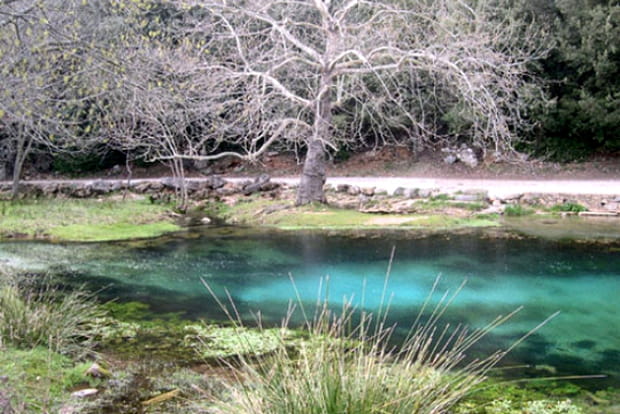 La source de la Buèges