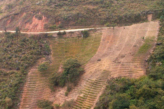 Route des Yungas en Bolivie