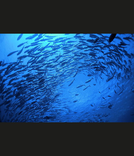 En nombre et en couleurs