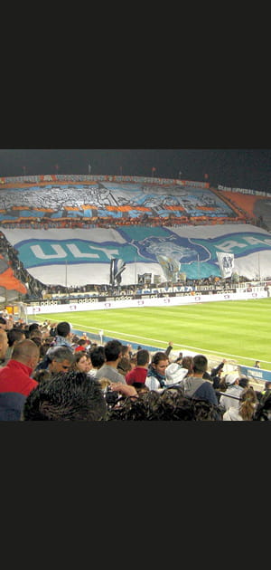Histoire de supporters