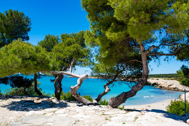 Camping Paradis à Martigues