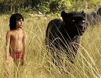 Le livre de la jungle