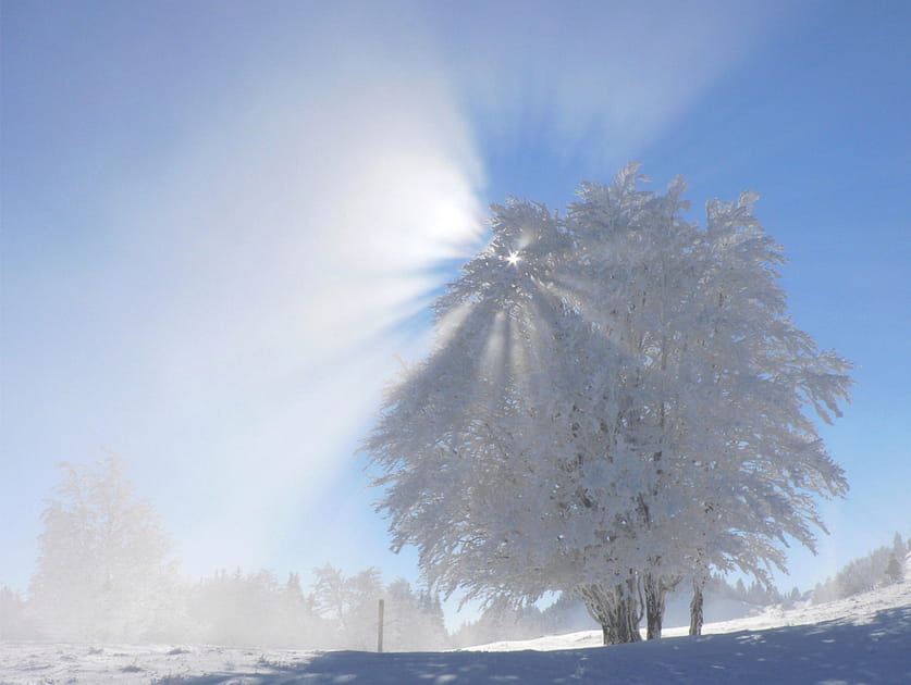 Journ&eacute;e d'hiver