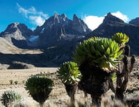 Afrique : le grand Rift : Terre de volcans