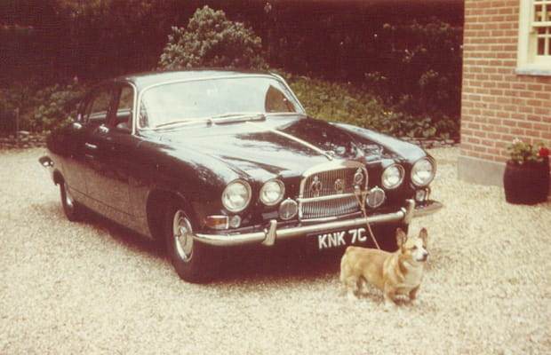 265 chevaux et un chien