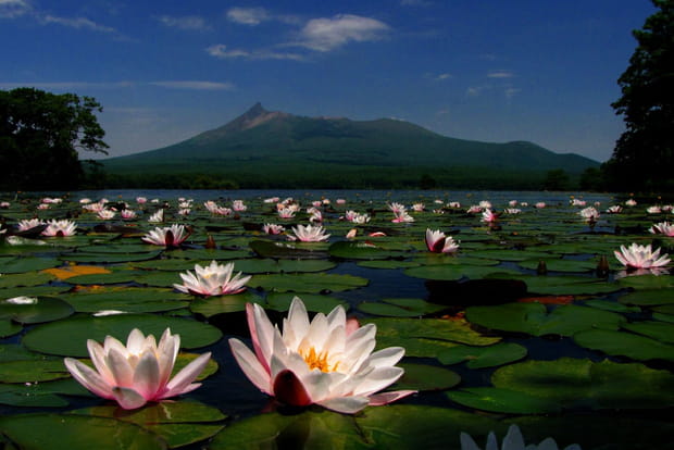 Ces 20 perles du Japon : Le parc quasi national d'Ōnuma