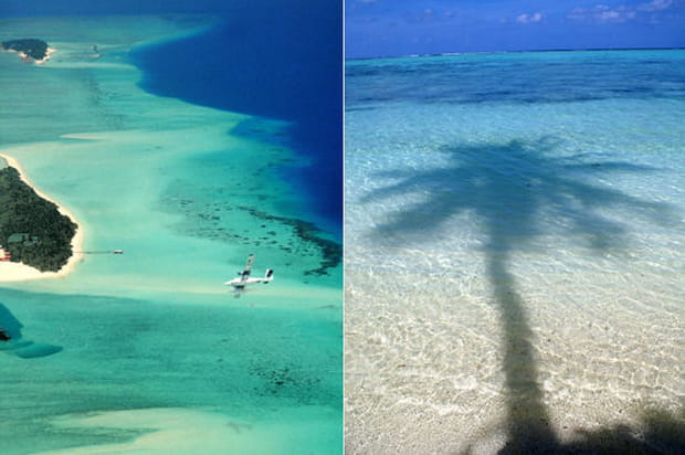 Malé et ses rivages