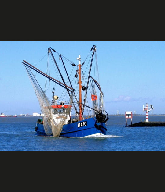 De retour au port