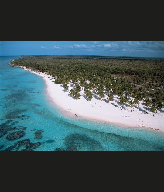 Eaux claires, palmiers et sable blanc
