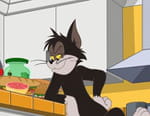 Tom et Jerry Show