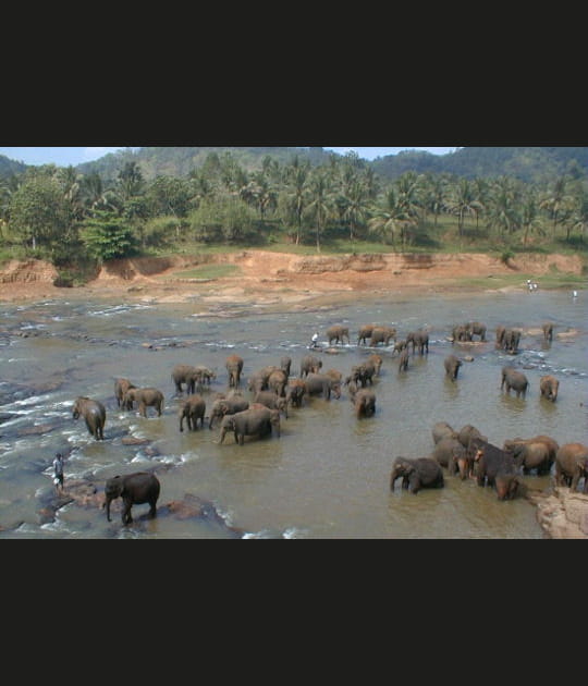Le Sri Lanka, pour le bien-&ecirc;tre