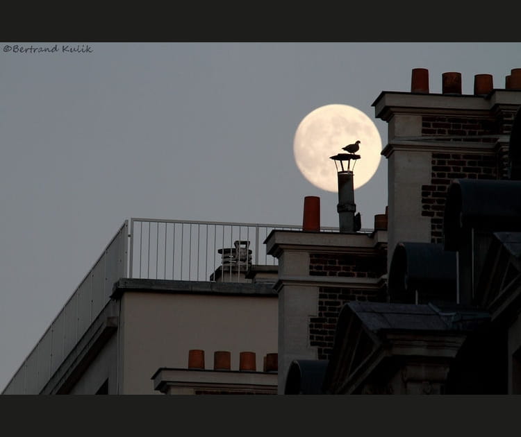 Le penseur au clair de lune