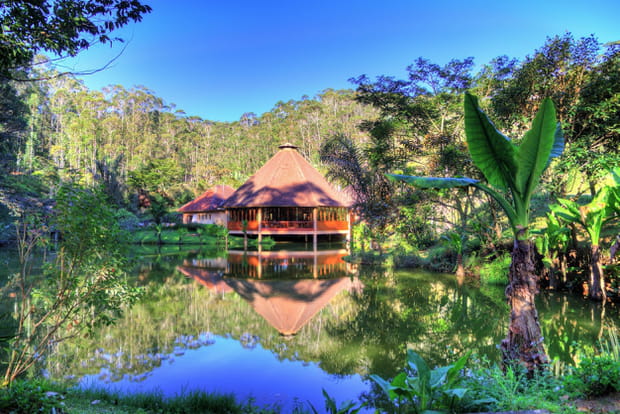 Le parc national d'Andasibe-Mantadia