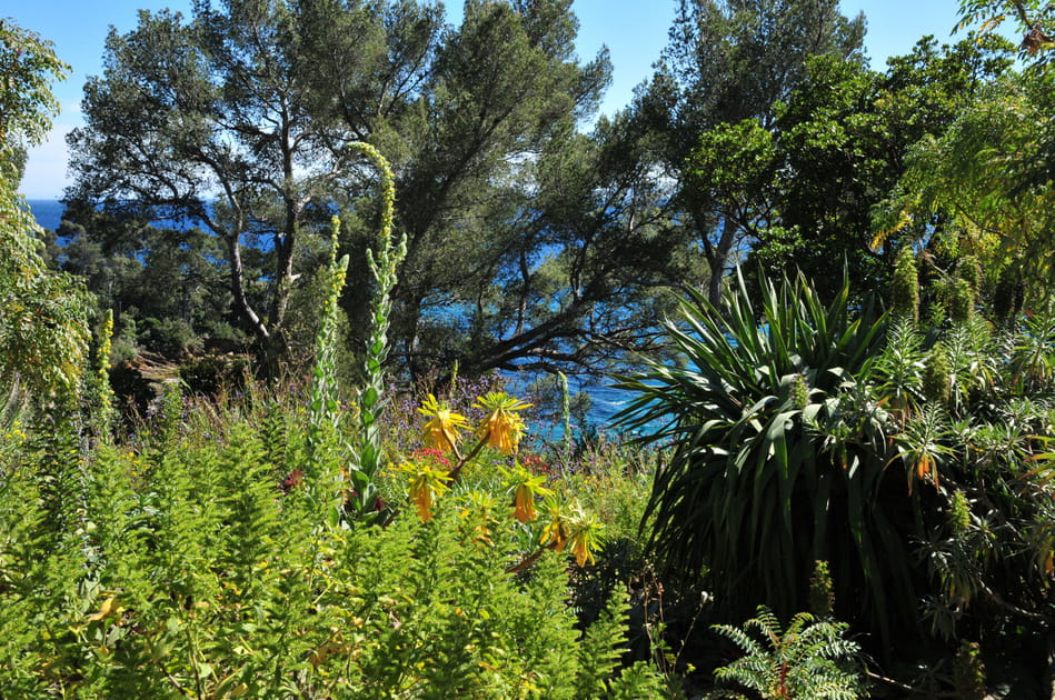 Le jardin des M&eacute;diterran&eacute;es du domaine du Rayol