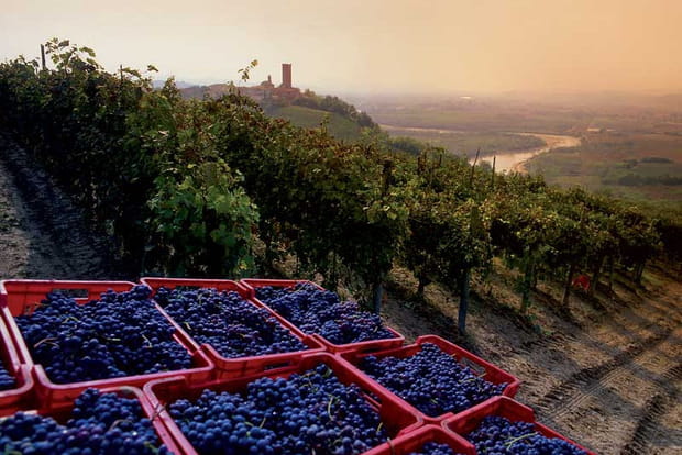 Les vignes de Langhe-Roero et Monferrato en Italie