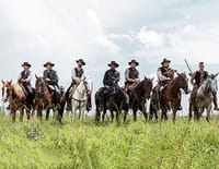 Les sept mercenaires