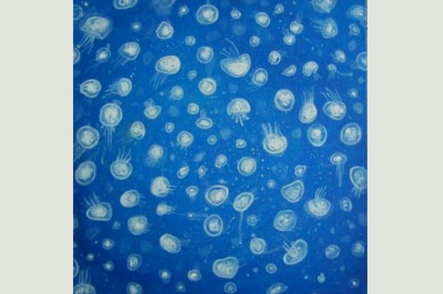 Voyage un peu particulier